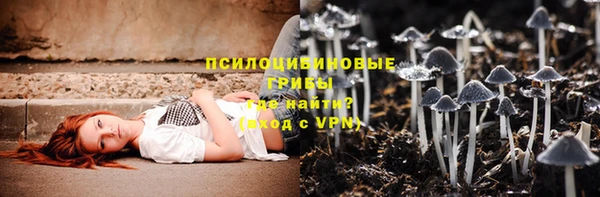 PSILOCYBIN Балахна