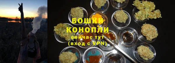 PSILOCYBIN Балахна